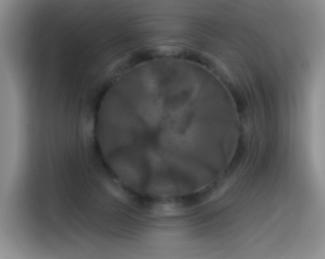 X0000113920745200910011512