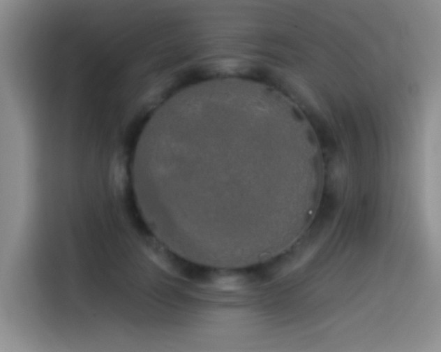 X0000113920746200910011512
