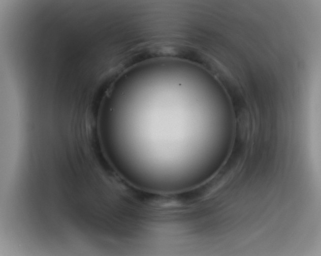 X0000113920747200910011512