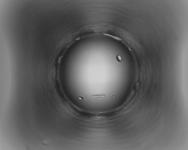 X0000113920748200910011512