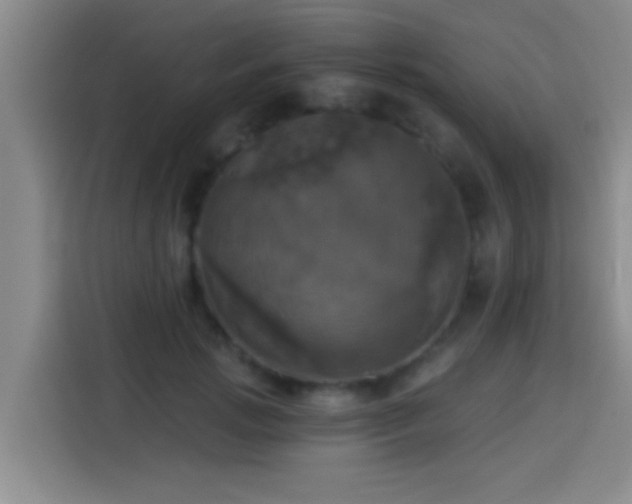 X0000113920749200910011512