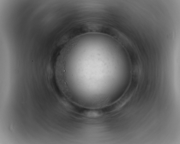 X0000113920751200910011512