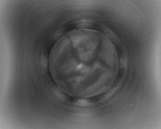 X0000113920753200910011512