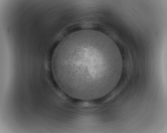 X0000113920755200910011512