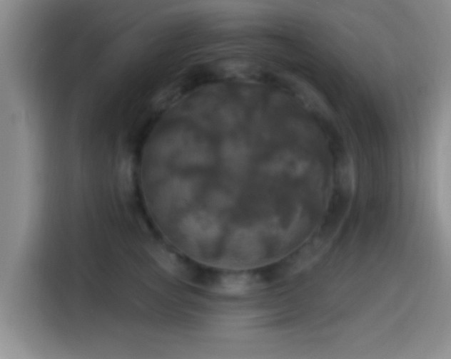 X0000113920757200910011512