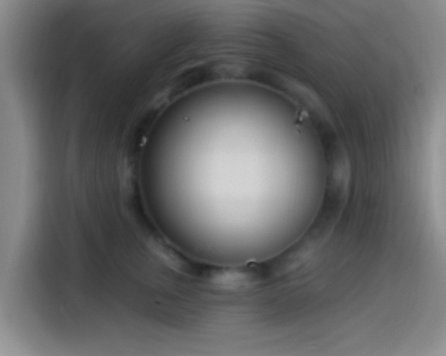 X0000113920759200910011512