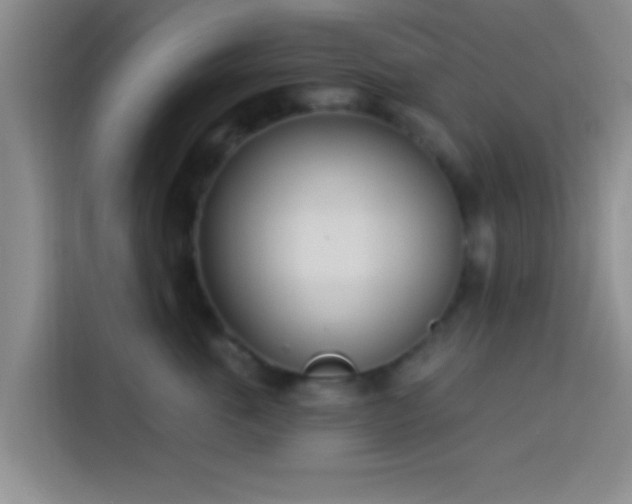 X0000113920763200910011512