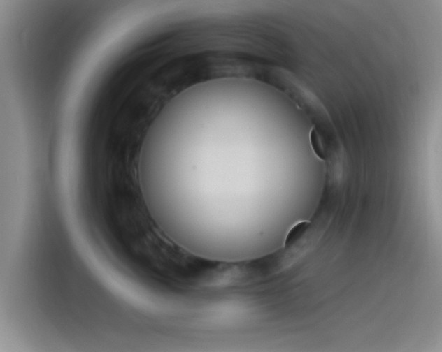 X0000113920764200910011512