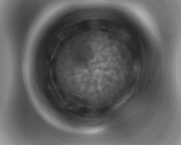 X0000113920765200910011512