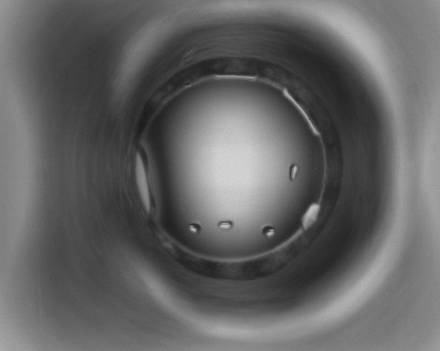 X0000113920766200910011512