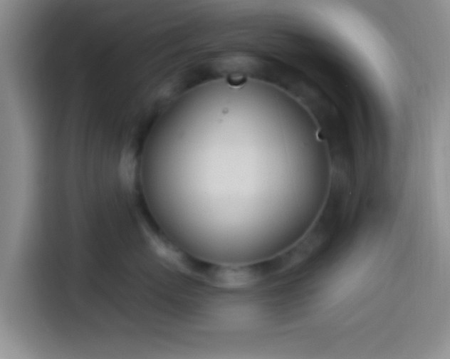 X0000113920767200910011512