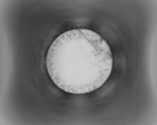 X0000113920769200910011511