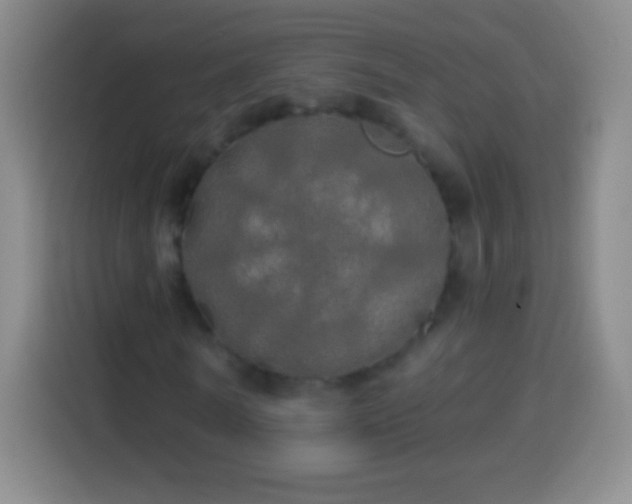 X0000113920770200910011511