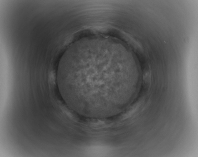 X0000113920772200910011511