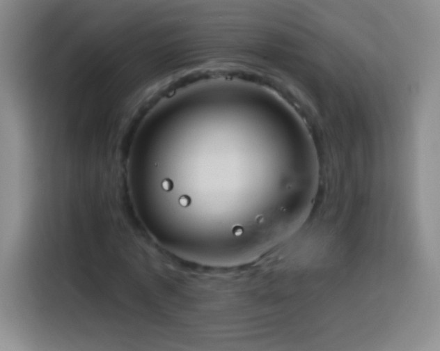 X0000113920773200910011511