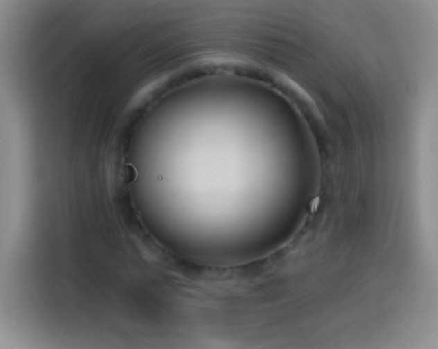 X0000113920775200910011511