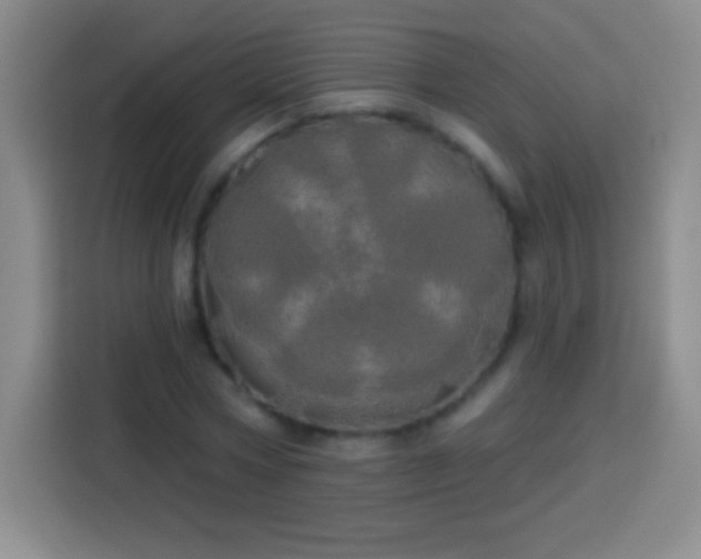 X0000113920778200910011511
