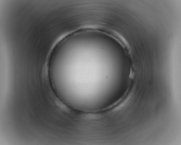 X0000113920779200910011511