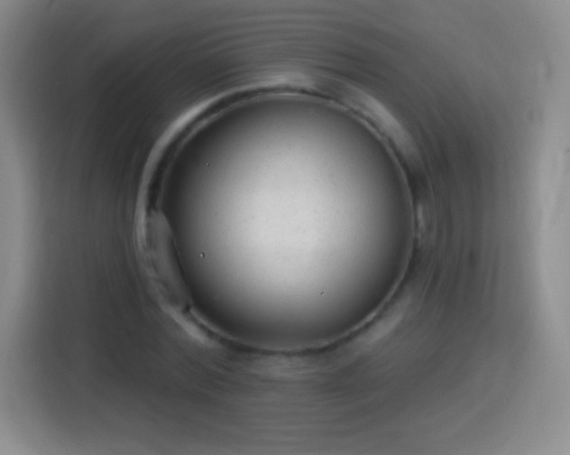 X0000113920780200910011511