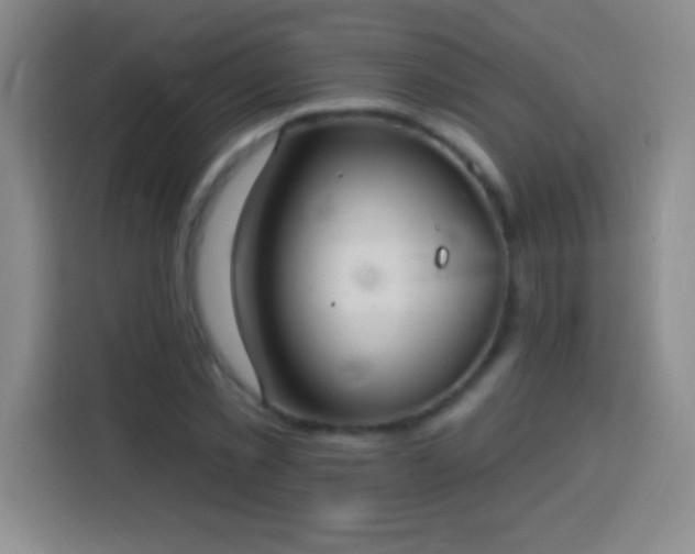 X0000113920781200910011511