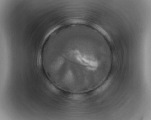 X0000113920782200910011511