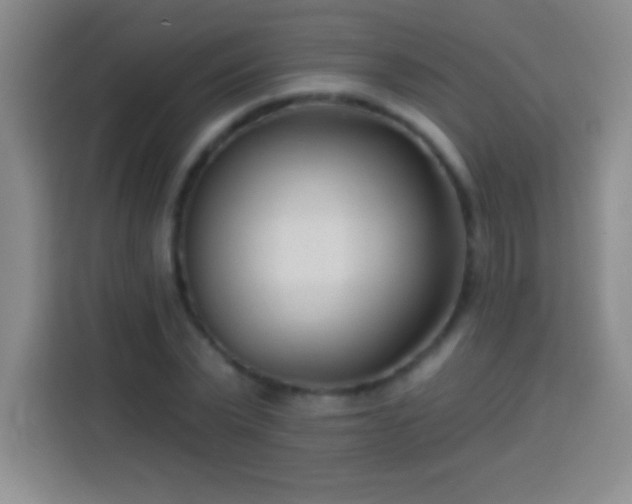 X0000113920783200910011511