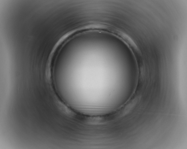 X0000113920784200910011511