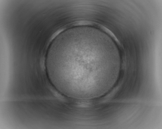 X0000113920786200910011511