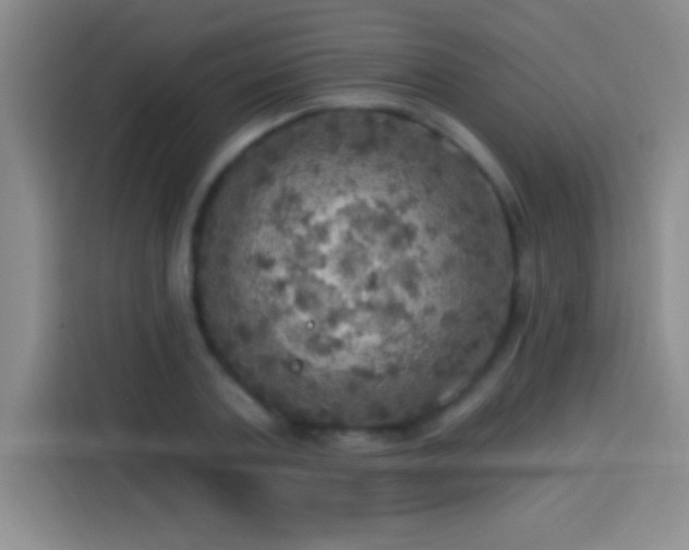 X0000113920787200910011511