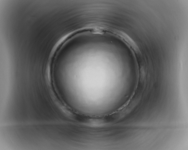 X0000113920788200910011511