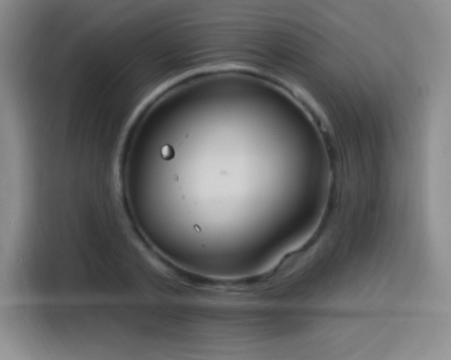 X0000113920789200910011511