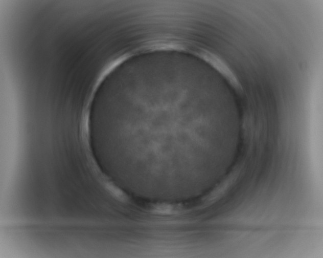 X0000113920790200910011511