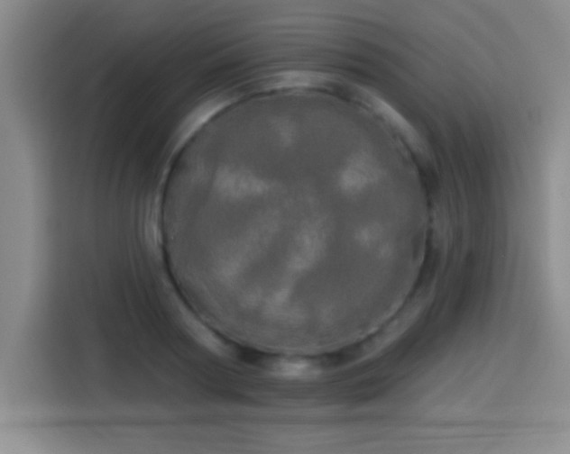 X0000113920794200910011511