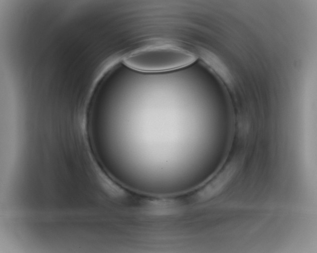 X0000113920797200910011511