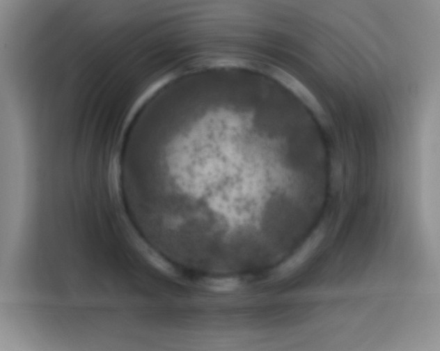 X0000113920798200910011511