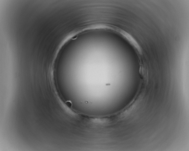 X0000113920805200910011511