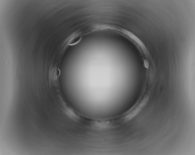X0000113920809200910011511