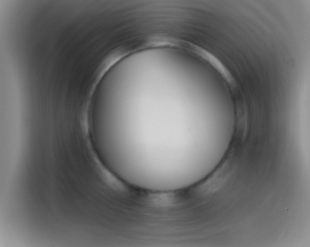 X0000113920810200910011511