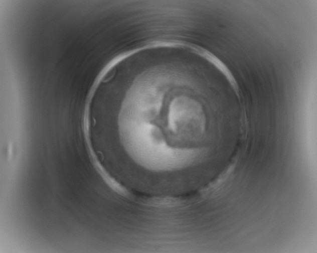 X0000113920811200910011511