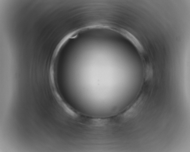 X0000113920812200910011511