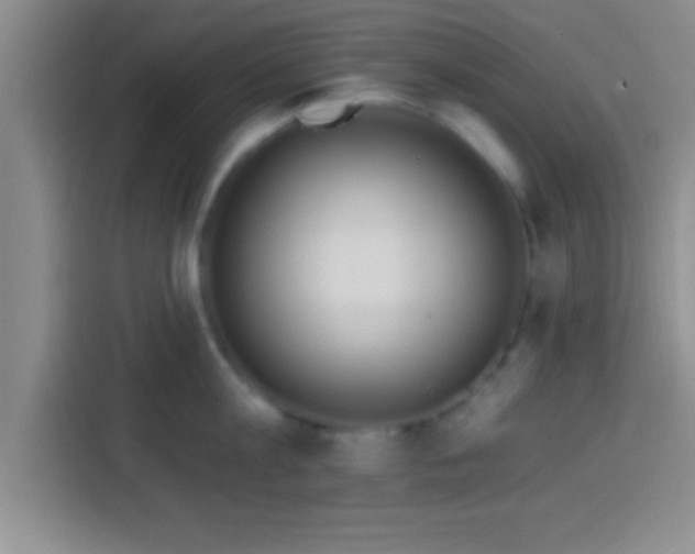 X0000113920813200910011511