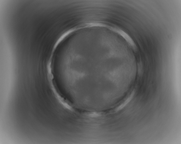 X0000113920814200910011511