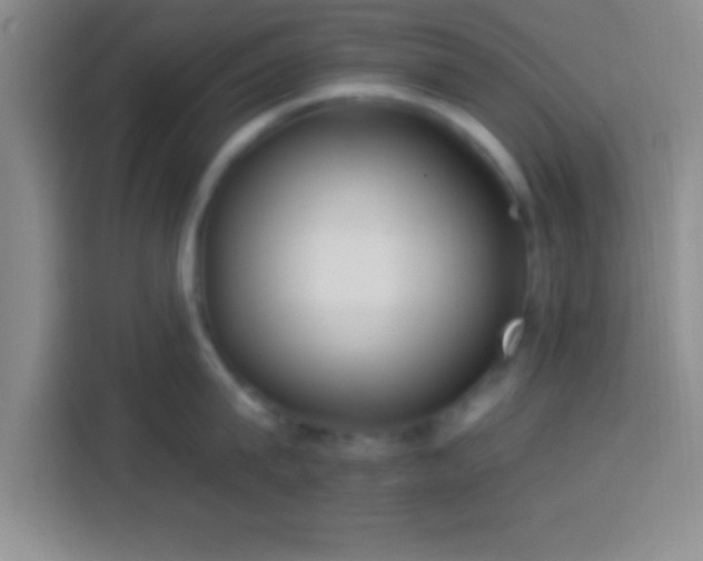 X0000113920815200910011511
