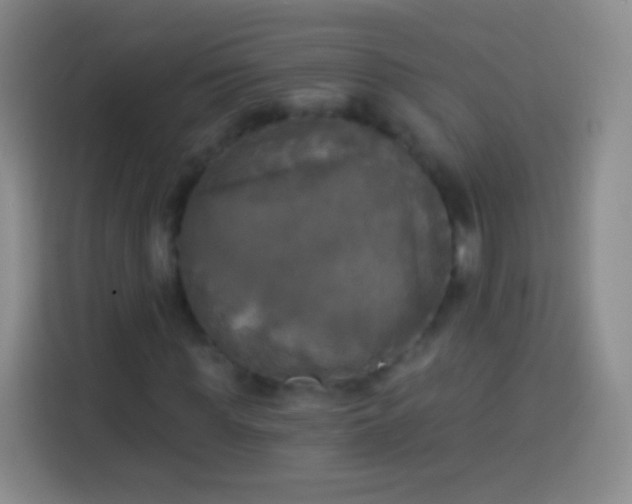 X0000113920819200910011510
