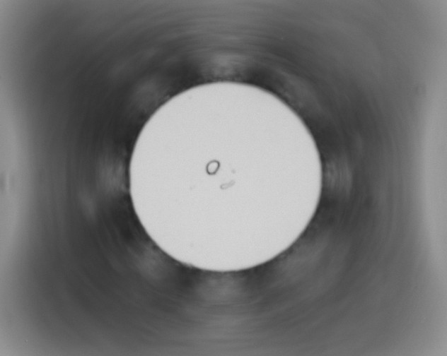 X0000113920820200910011510