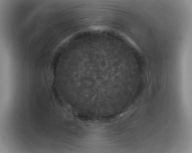 X0000113920821200910011510