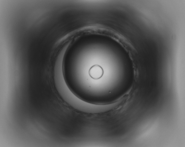 X0000113920822200910011510