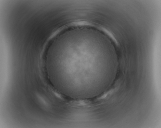 X0000113920823200910011510