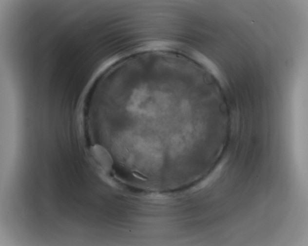 X0000113920827200910011510