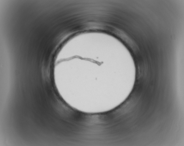 X0000113920828200910011510